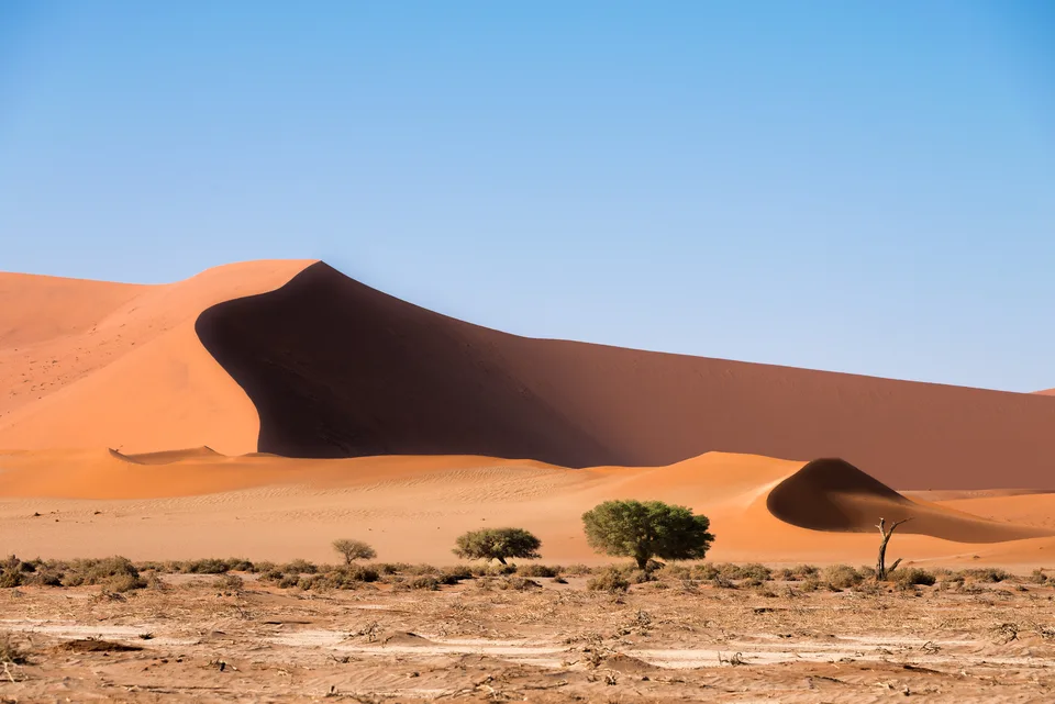 Orange Dünenlandschaft mit skulptural geformten Sandkämmen.